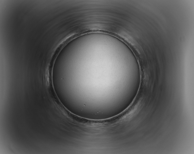 X0000089350782200706291020