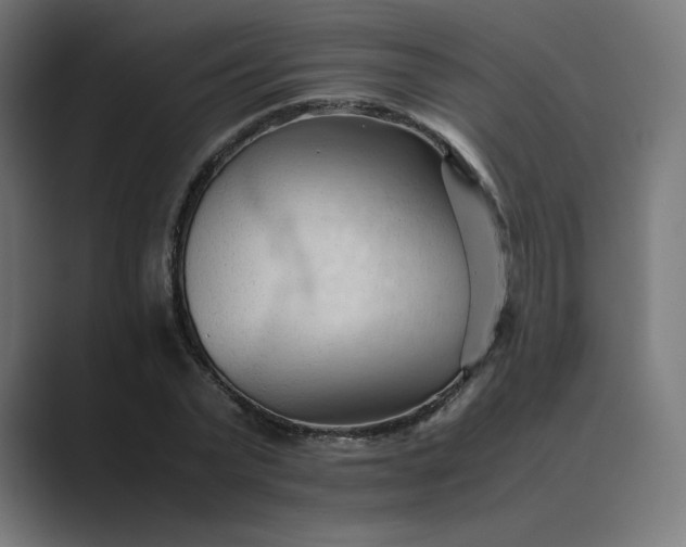 X0000089350783200706291020