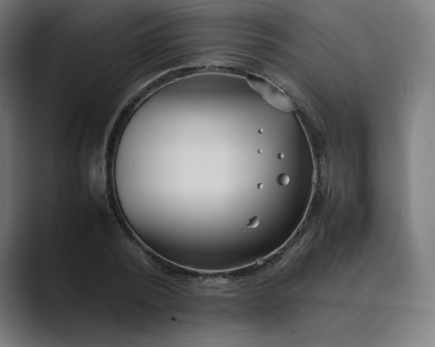 X0000089350784200706291020