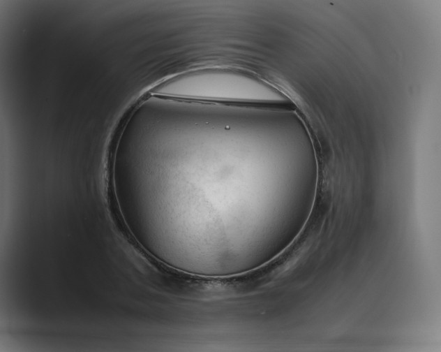 X0000089350787200706291020