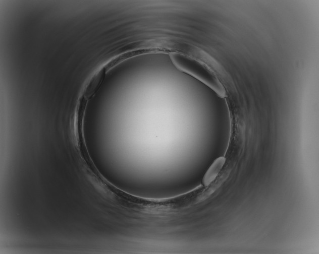 X0000089350788200706291020