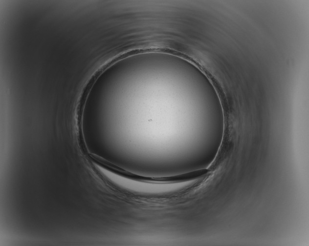X0000089350789200706291020