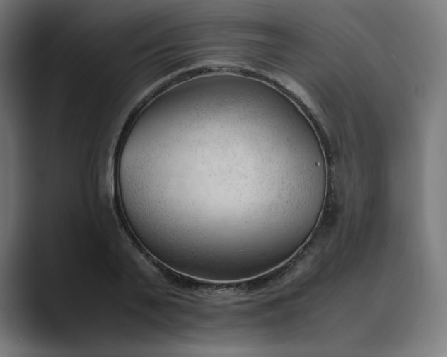 X0000089350791200706291020