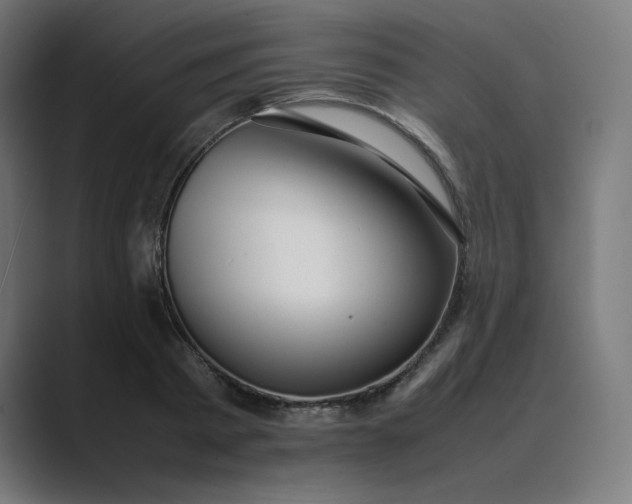 X0000089350793200706291020