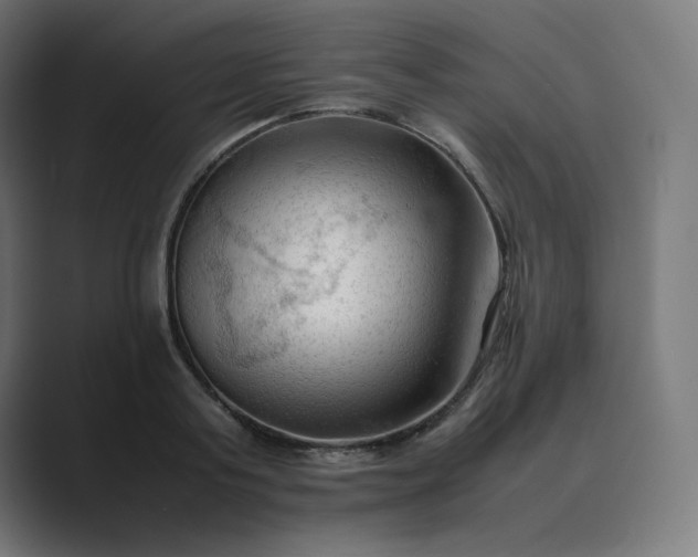 X0000089350795200706291020