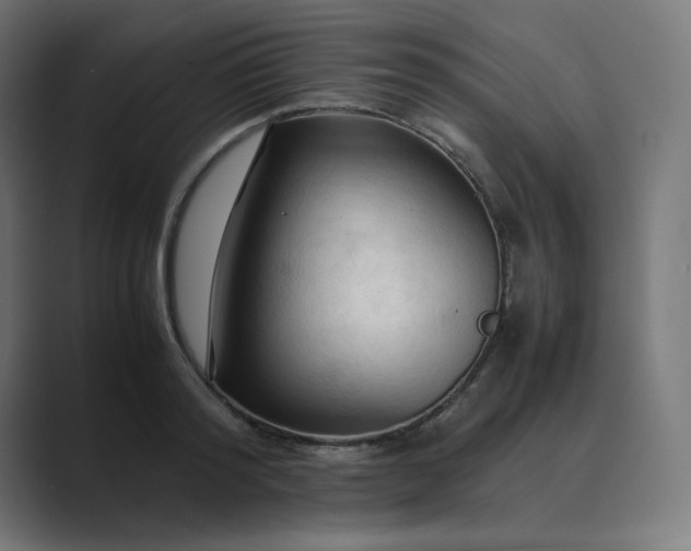 X0000089350796200706291020