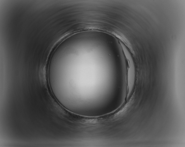 X0000089350798200706291020