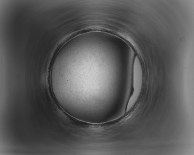 X0000089350799200706291020