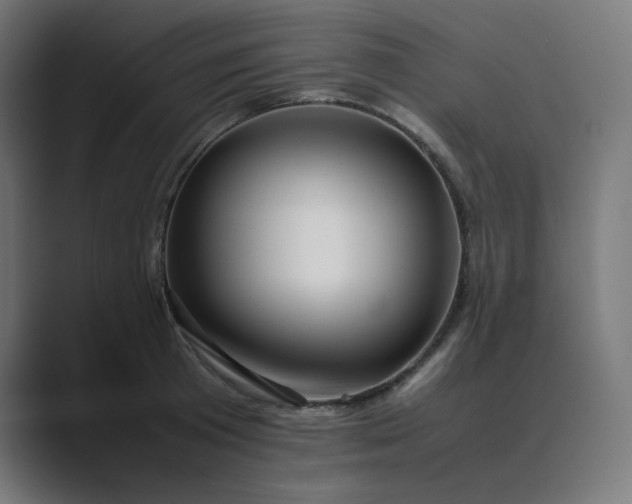 X0000089350801200706291020