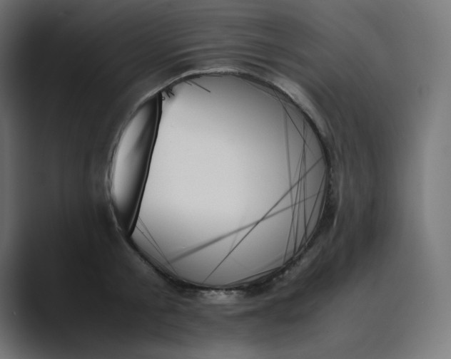 X0000089350805200706291020