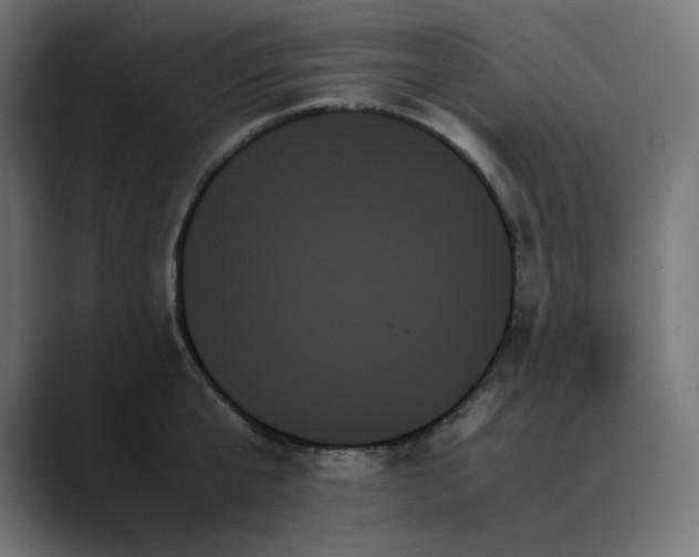 X0000089350807200706291020