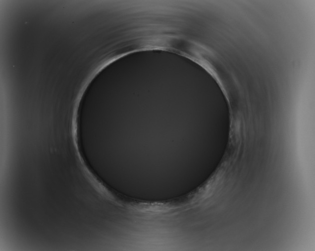 X0000089350811200706291020