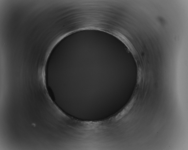 X0000089350812200706291020