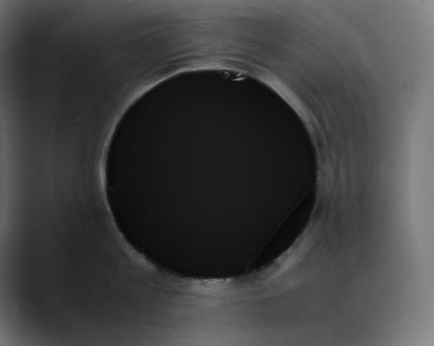 X0000089350813200706291020