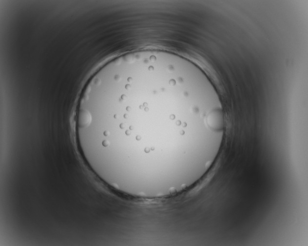 X0000089350814200706291020