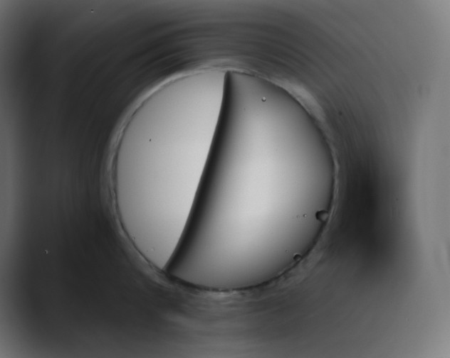 X0000089350816200706291020