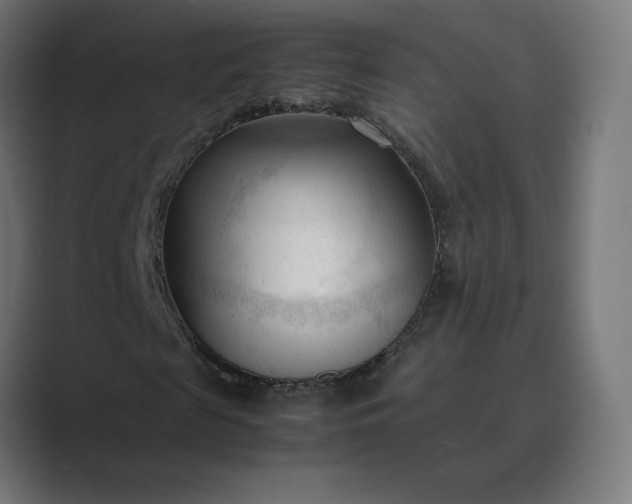 X0000089350817200706291019