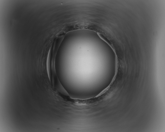 X0000089350818200706291019