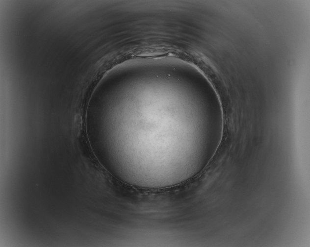 X0000089350821200706291019