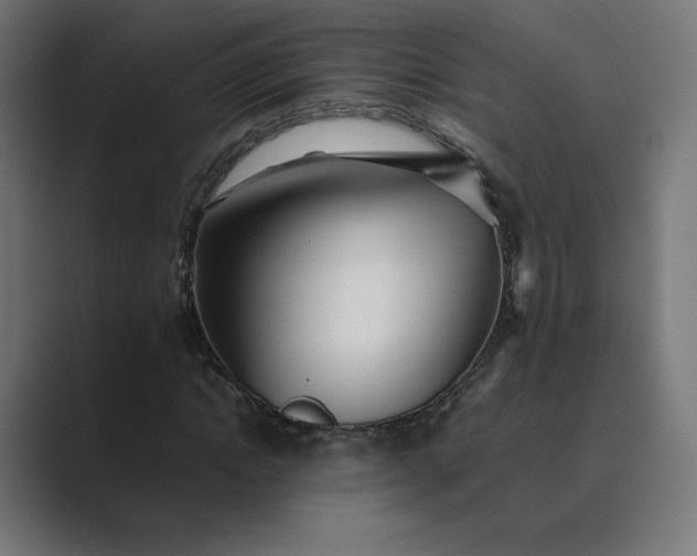 X0000089350822200706291019