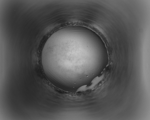 X0000089350823200706291019