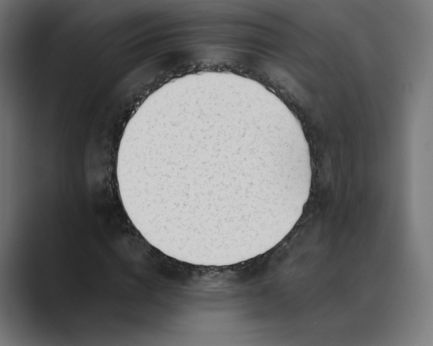X0000089350824200706291019