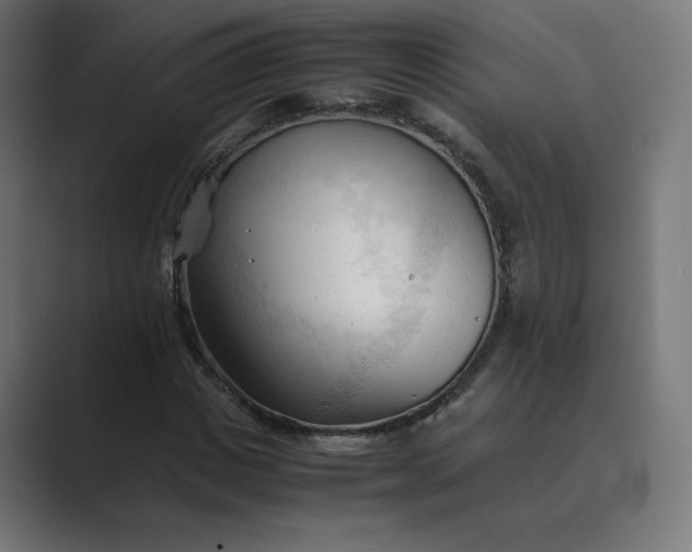 X0000089350825200706291019