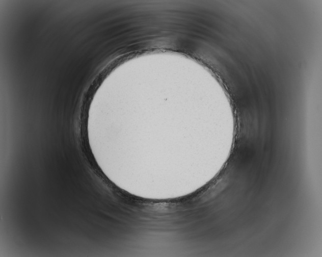 X0000089350828200706291019