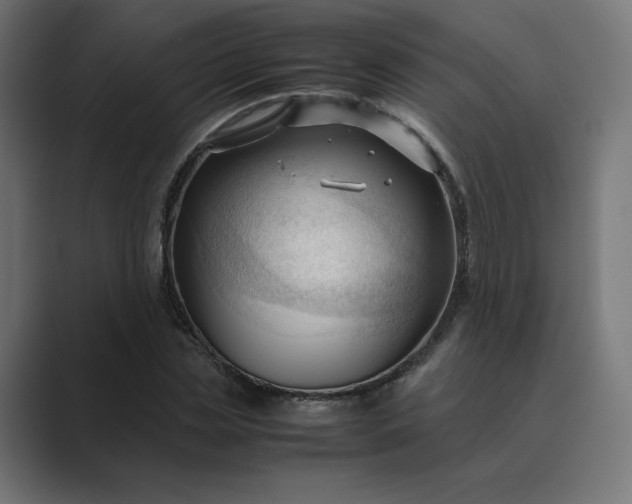 X0000089350829200706291019