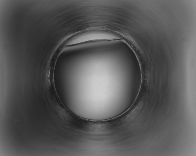 X0000089350830200706291019