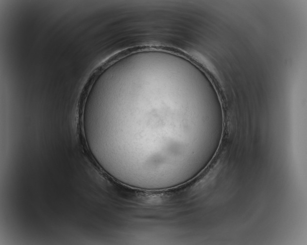 X0000089350831200706291019