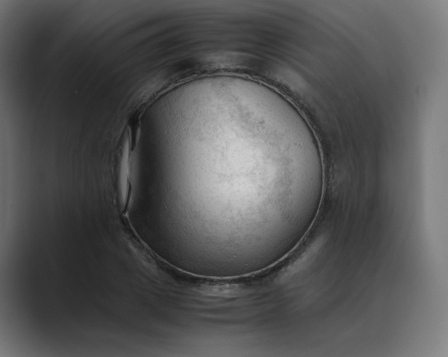 X0000089350833200706291019