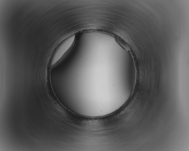 X0000089350834200706291019