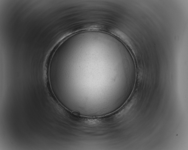 X0000089350835200706291019