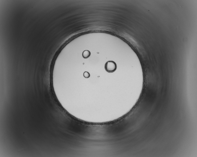X0000089350836200706291019