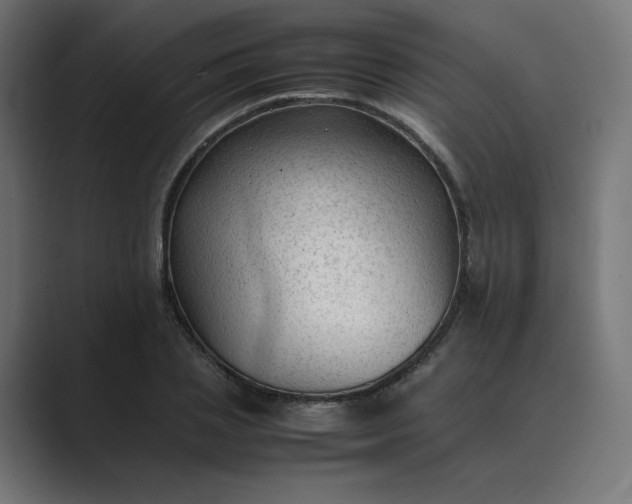 X0000089350837200706291019