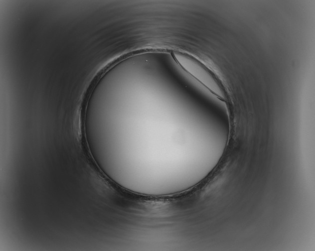 X0000089350838200706291019