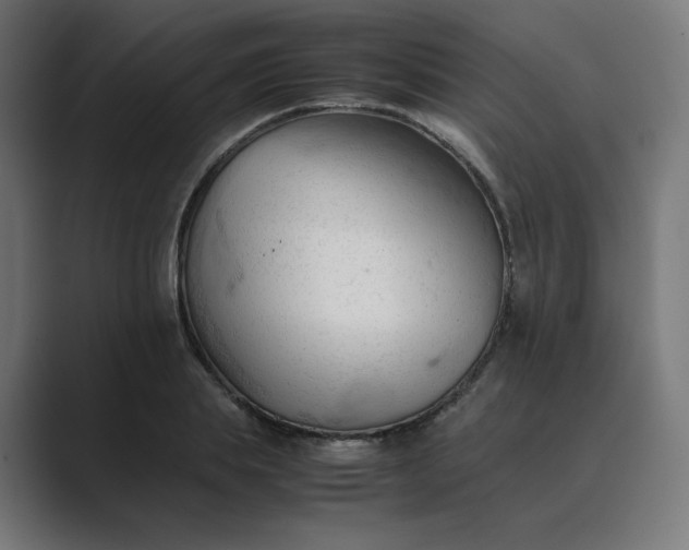 X0000089350839200706291019