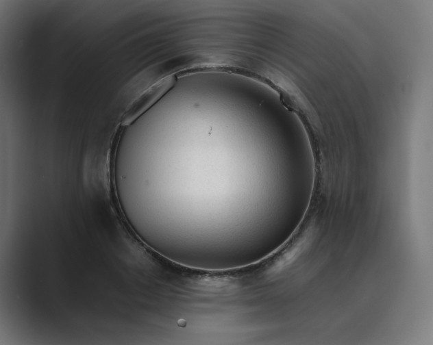 X0000089350842200706291020