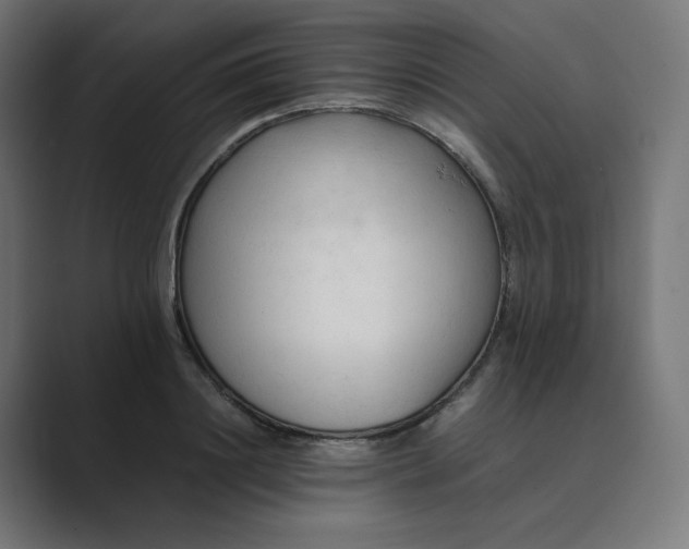 X0000089350844200706291020