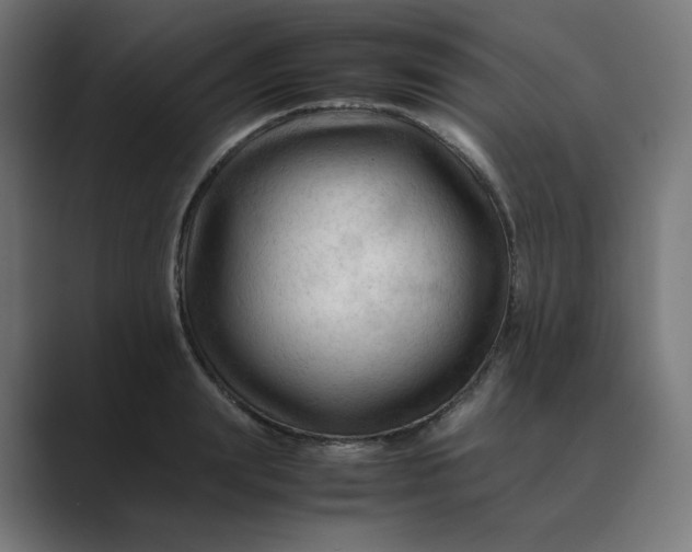 X0000089350847200706291020