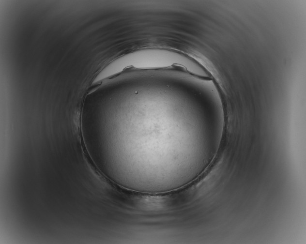 X0000089350849200706291020