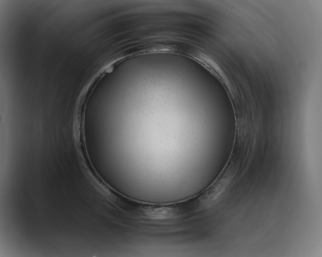 X0000089350851200706291020