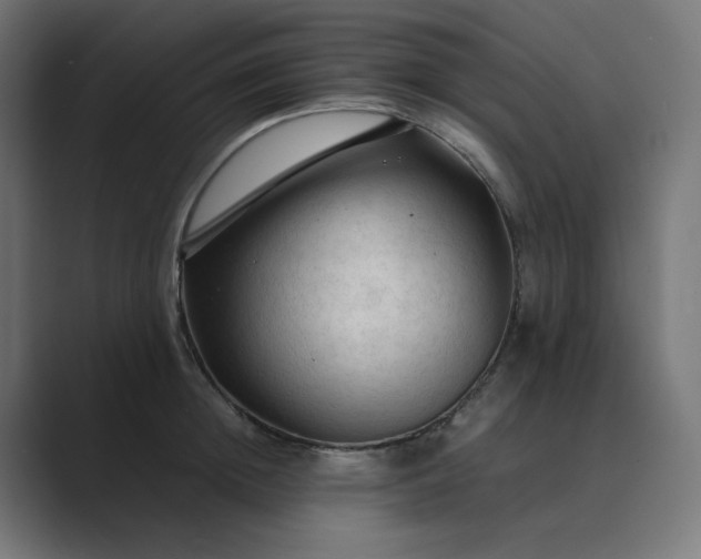 X0000089350852200706291020