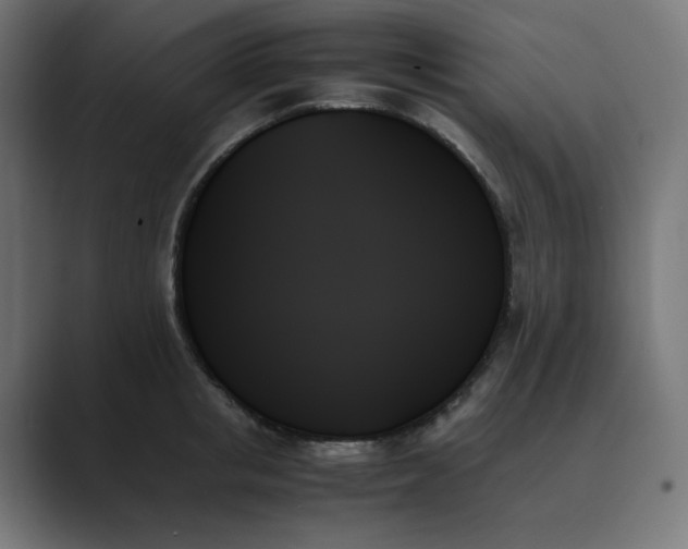 X0000089350853200706291020