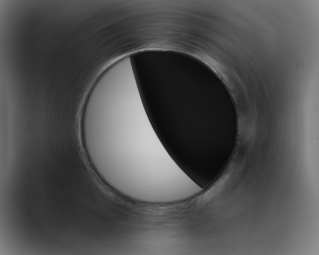 X0000089350854200706291020