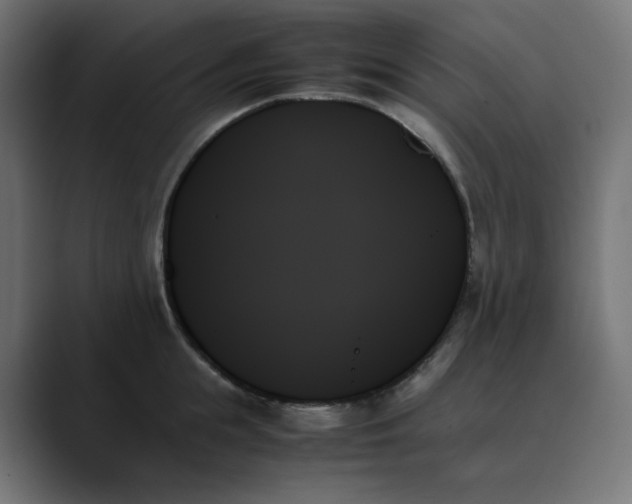 X0000089350855200706291020