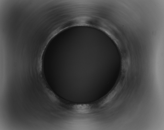 X0000089350858200706291020