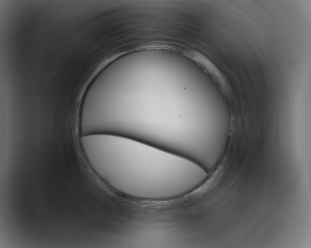 X0000089350860200706291020
