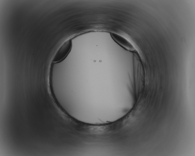 X0000089350861200706291020